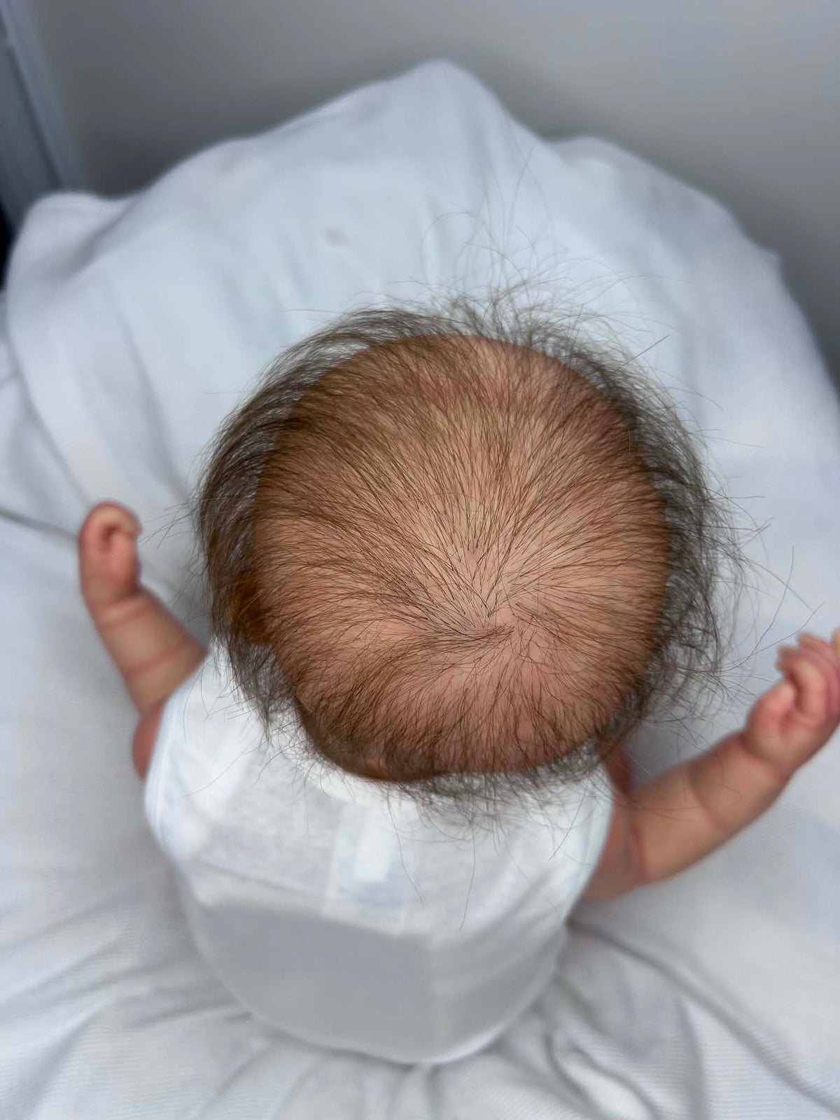 Realcare Reborn Hybrid Baby Gen 6 - Eric/Erica