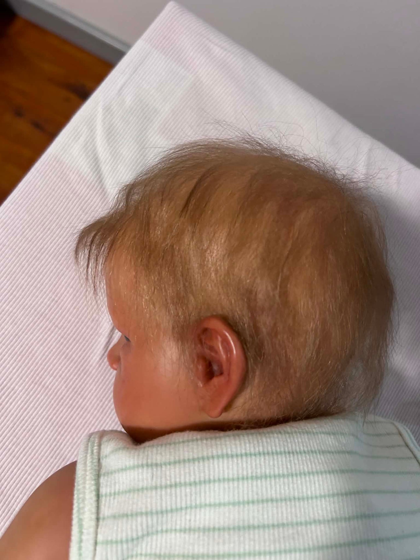 Realcare Reborn Hybrid Baby - Sandie (Realcare 2 baby)